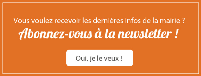 bouton-newsletter